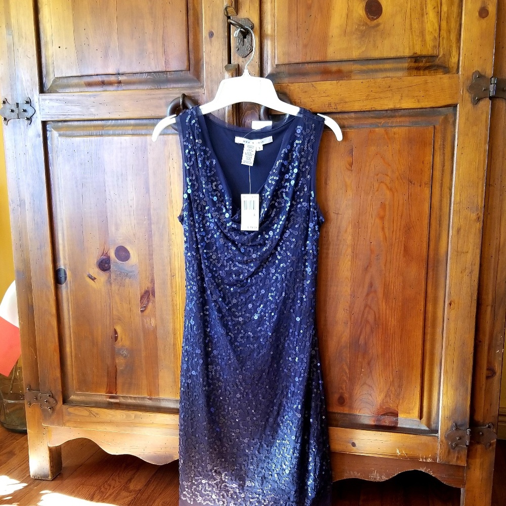 Max Studio Blue Sequence Dress